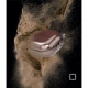 Skaidrus dėklas Samsung Galaxy Buds FE / 2 Pro / 2 / Live / Pro ausinėms "Ringke Hinge"