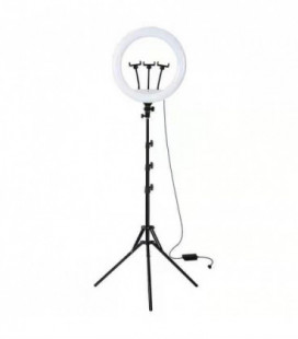 Telefono laikiklis Lamp tripod kit RL18-150 juodas 1.50m