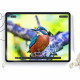 Matinės apsauginės plėvelės Apple iPad 10.9” 10 / 2022 / 11” 11 / 2025 planšetei "HOFI Paper Pro+ 2-Pack"