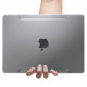 Skaidrus dėklas Apple Macbook Air 13 2022 kompiuteriui "Spigen Thin Fit"