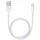 Baltas Apple iPhone USB - Lightning laidas "MD818"