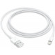 Baltas Apple iPhone USB-A - Lightning 100cm laidas "MXLY2ZM/A"
