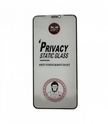 LCD apsauginis stikliukas ESD Anti-Static Privacy Samsung S926 S24 Plus
