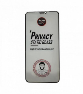 LCD apsauginis stikliukas ESD Anti-Static Privacy Apple iPhone 14 Pro