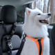 Juodas automobilinis dirželis gyvūnams "Spigen PS100 Universal Car Seat Belt Holder For Pets"