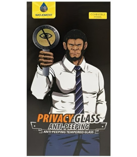 LCD apsauginis stikliukas ESD Anti-Static Privacy Samsung A376 A37 5G/A576 A57 5G