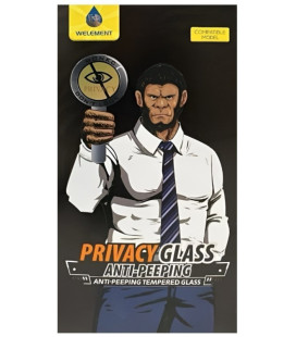 LCD apsauginis stikliukas ESD Anti-Static Privacy Samsung S947 S26 Plus