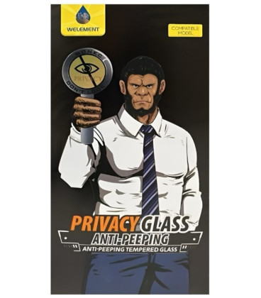 LCD apsauginis stikliukas ESD Anti-Static Privacy Samsung S947 S26 Plus