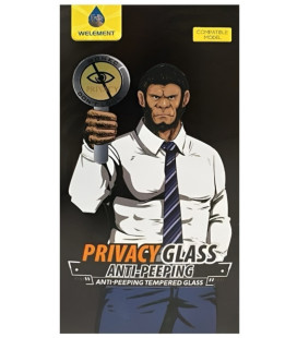 LCD apsauginis stikliukas ESD Anti-Static Privacy Samsung S948 S26 Ultra