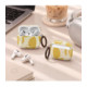 Dėklas Apple Airpods Pro 3 ausinėms "Tech-Protect Lamano Lemon Haze"