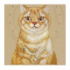 NIMMY dėklas LUCKY FASHION CAT, suderinamas su MagSafe, skirtas IPHONE 18 Pro Max/17 Pro Max, rudas