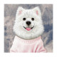 NIMMY dėklas GENTLE PETS SERIES DOG, suderinamas su MagSafe, skirtas IPHONE 18 Pro Max/17 Pro Max, rožinis