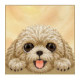 NIMMY dėklas BIG EYED LYING TEDDY POODLE, suderinamas su MagSafe, skirtas IPHONE 18 Pro Max/17 Pro Max, rudas