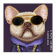 NIMMY dėklas GLASSES COOL DOG, skirtas IPHONE 18 Pro Max/17 Pro Max, purpurinis