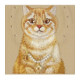 NIMMY dėklas LUCKY FASHION CAT, suderinamas su MagSafe, skirtas IPHONE 18 Pro/17 Pro, rudos spalvos