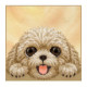 NIMMY dėklas BIG EYED LYING TEDDY POODLE, suderinamas su MagSafe, skirtas IPHONE 18 Pro/17 Pro, rudas