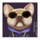 NIMMY dėklas GLASSES COOL DOG, skirtas IPHONE 18 Pro/17 Pro, purpurinis