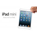 iPad Mini/2/3/4